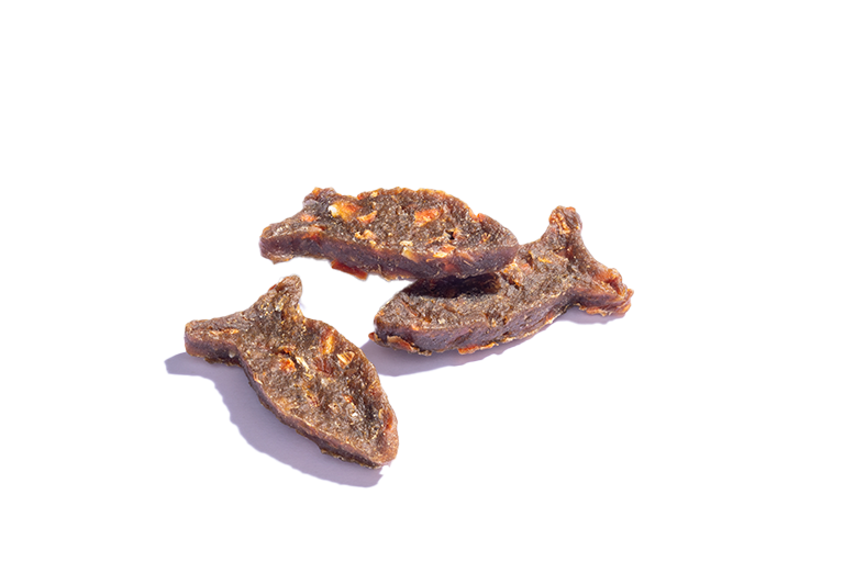 TM Pets 2024-1 SnowDonuts 012