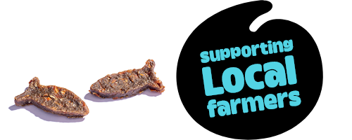 localsupSnowDonuts 011